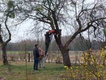 Budki lęgowe dla sowy pójdźki w BPK w ramach projektu „Z Przyrodą na Ty”, 